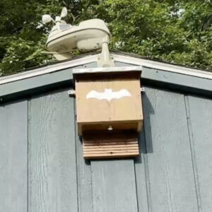 DIY, How to make, bat house, bat box