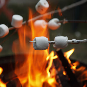 campfire cooking, marshmallows