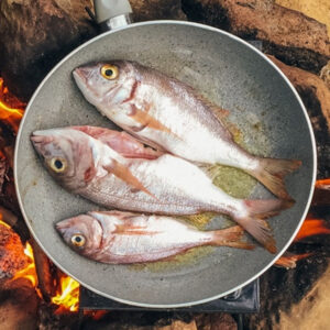 cooking fish on a campfire