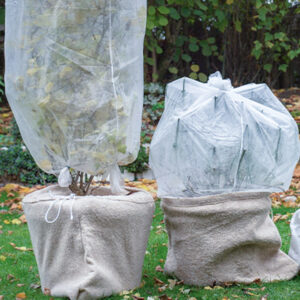 overwinter potted plants with burlap