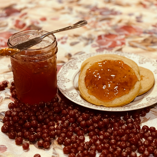 Autumn Olive Berries, Autumn Olive, Jelly, Recipe, Syrup