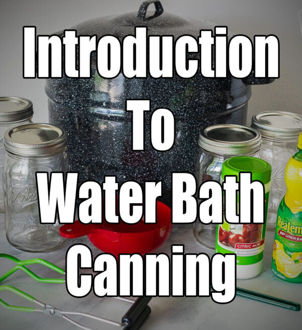 canning, water bath canning, preserving, food preservation