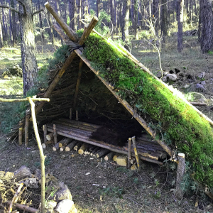 natural survival shelter